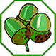 Green Acorn Scheme